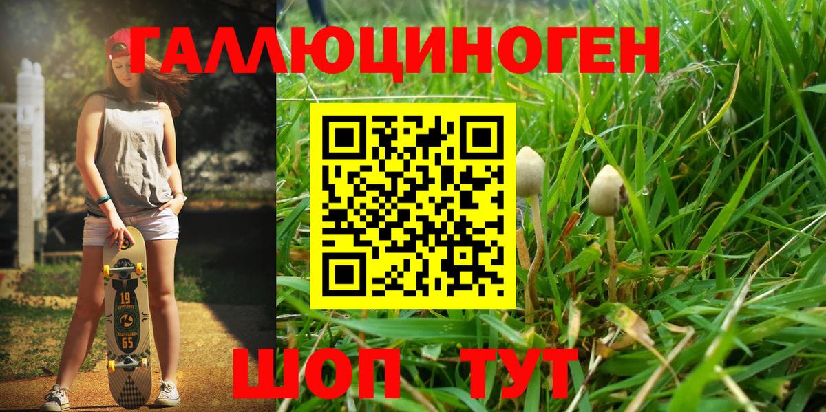 Псилоцибиновые грибы мухоморы  Псилоцибиновые грибы Psilocybine cubensis  Кимовск  Вход с VPN 