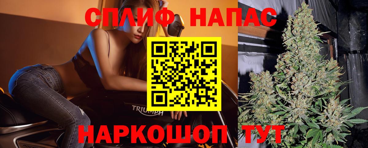 Бошки Шишки VHQ  Конопля планчик  Канабис семена  Канабис THC 21%  Вход с VPN  Кимовск 